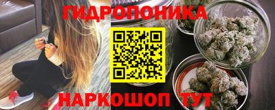винт Партизанск