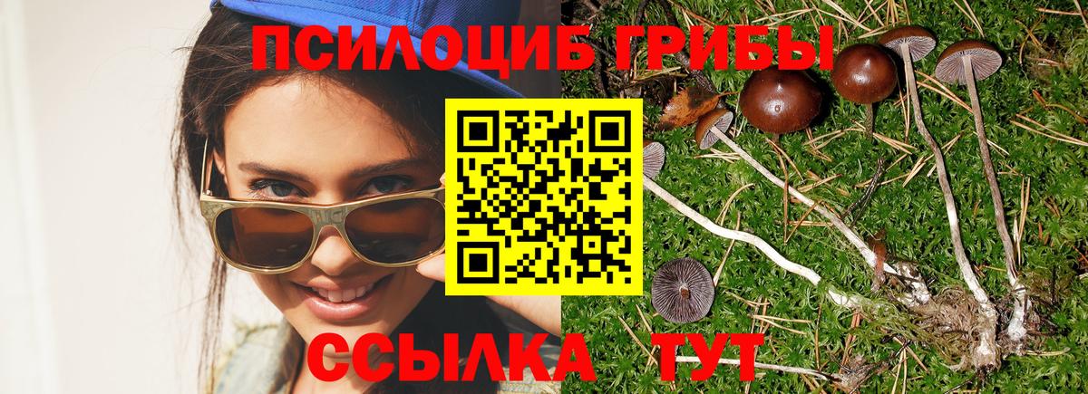 Галлюциногенные грибы GOLDEN TEACHER  Вход с VPN  Отрадный 