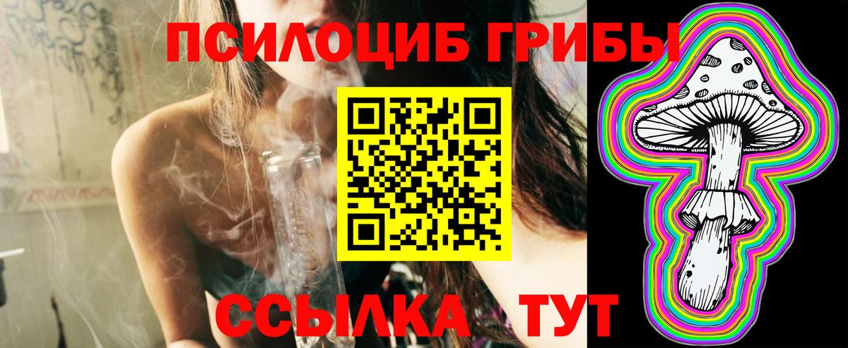 Галлюциногенные грибы Psilocybe Отрадный